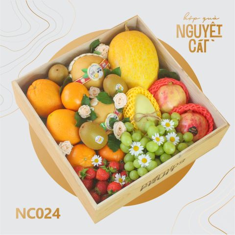 Nguyệt Cát 024 