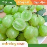  Nho xanh Air Chief Mỹ 