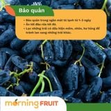  Nho đen ngón tay Úc 