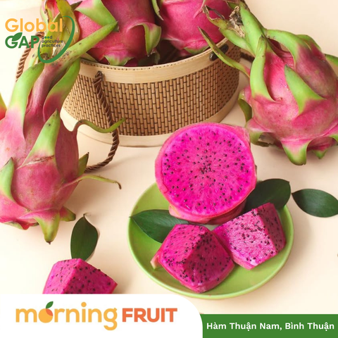  Thanh long ruột tím hồng 