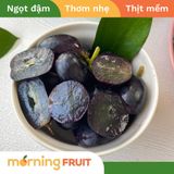  Nho đen Úc 