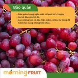  Nho đỏ Crimson Úc 