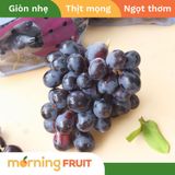  Nho kẹo Candy Crunch Úc 