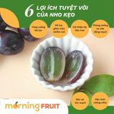  Nho kẹo Candy Crunch Úc 