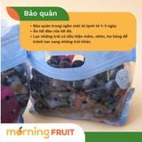  Nho kẹo Candy Crunch Úc 