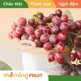  Nho kẹo đỏ Mỹ 