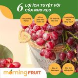  Nho kẹo đỏ Mỹ 
