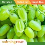  Nho xanh ngón tay Mỹ 