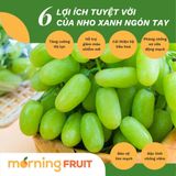  Nho xanh ngón tay Mỹ 