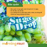  Nho xanh ngón tay Mỹ 