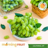  Nho xanh ngón tay Mỹ 