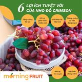  Nho đỏ Crimson Úc 