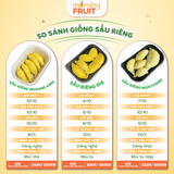  Sầu riêng Musang King 