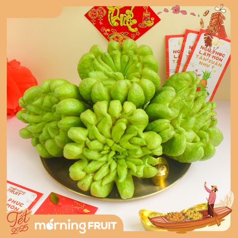  Phật thủ Hà Nội (Loại 1) 