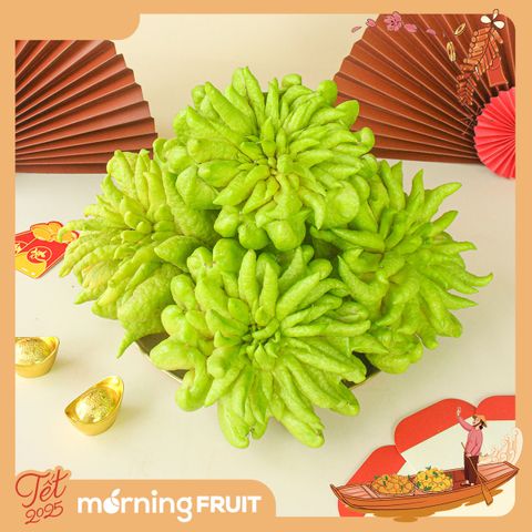  Phật thủ Hà Nội (VIP) 