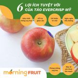  Táo Evercrisp Mỹ size 113 