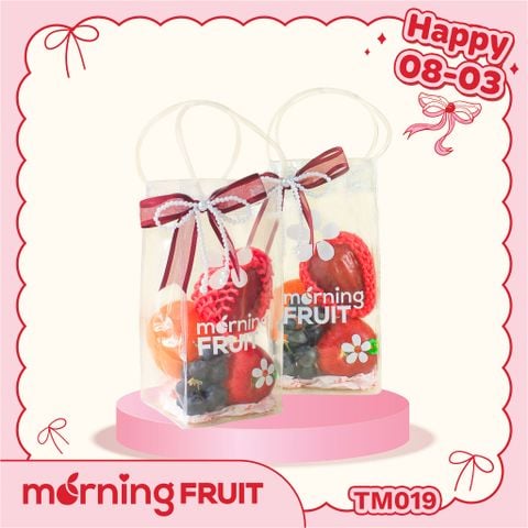  Túi quà nhỏ TM019 