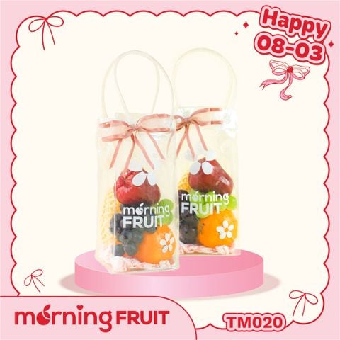  Túi quà nhỏ TM020 