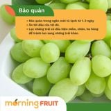  Nho xanh không hạt Peru 