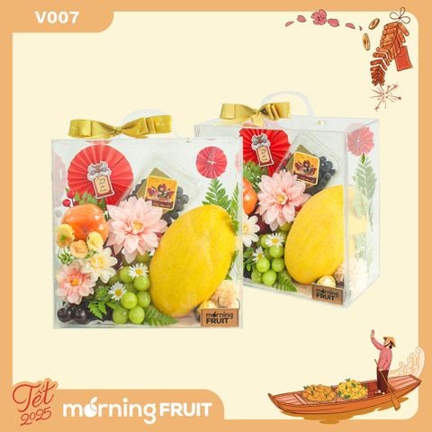  Hộp quà Vali trái cây V007 