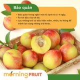  Đào Vàng Nội Địa Trung 