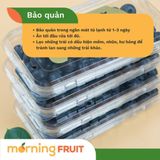  Việt quất Blue Royal (Hộp 125gr) (ngừng bán) 