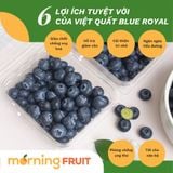  Việt Quất Blue Royal New Zealand size Jumbo (Hộp 125gr) 