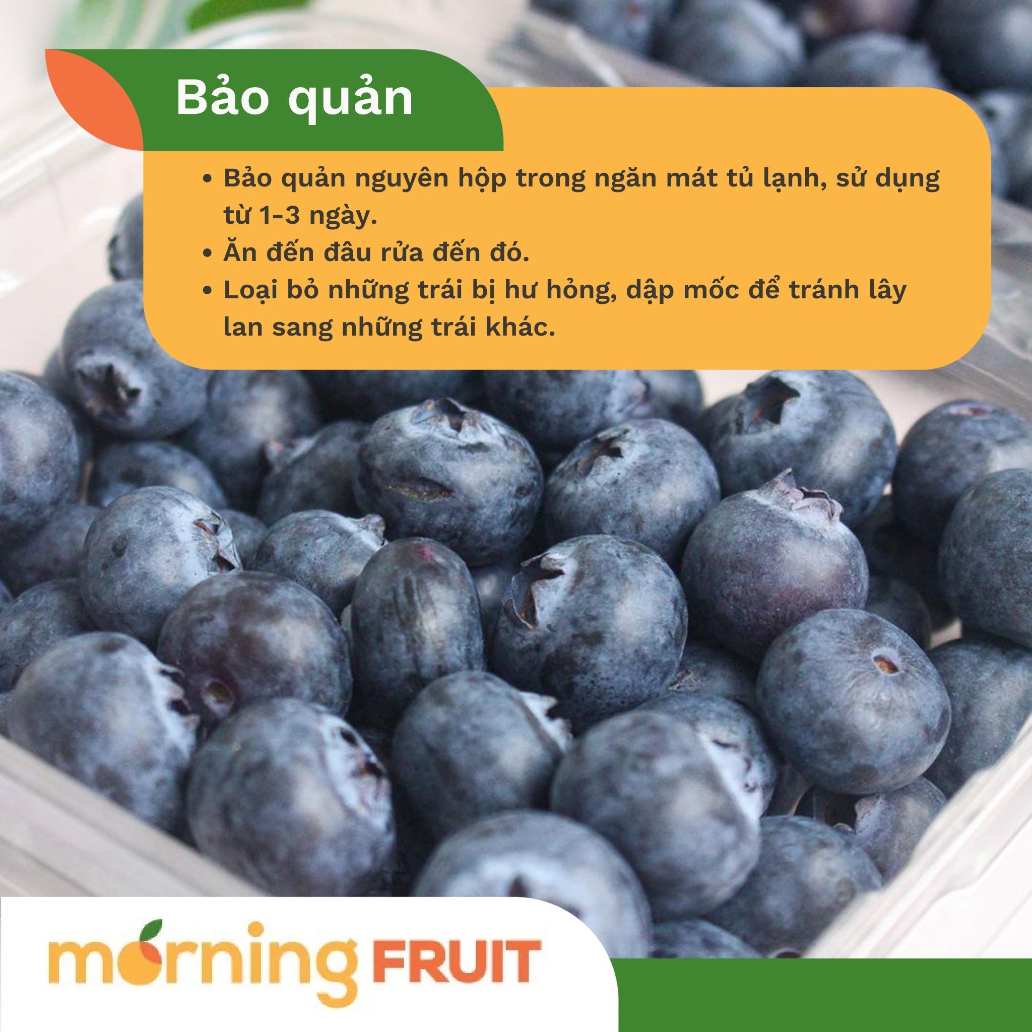  Việt Quất Blue Royal New Zealand size Jumbo (Hộp 125gr) 