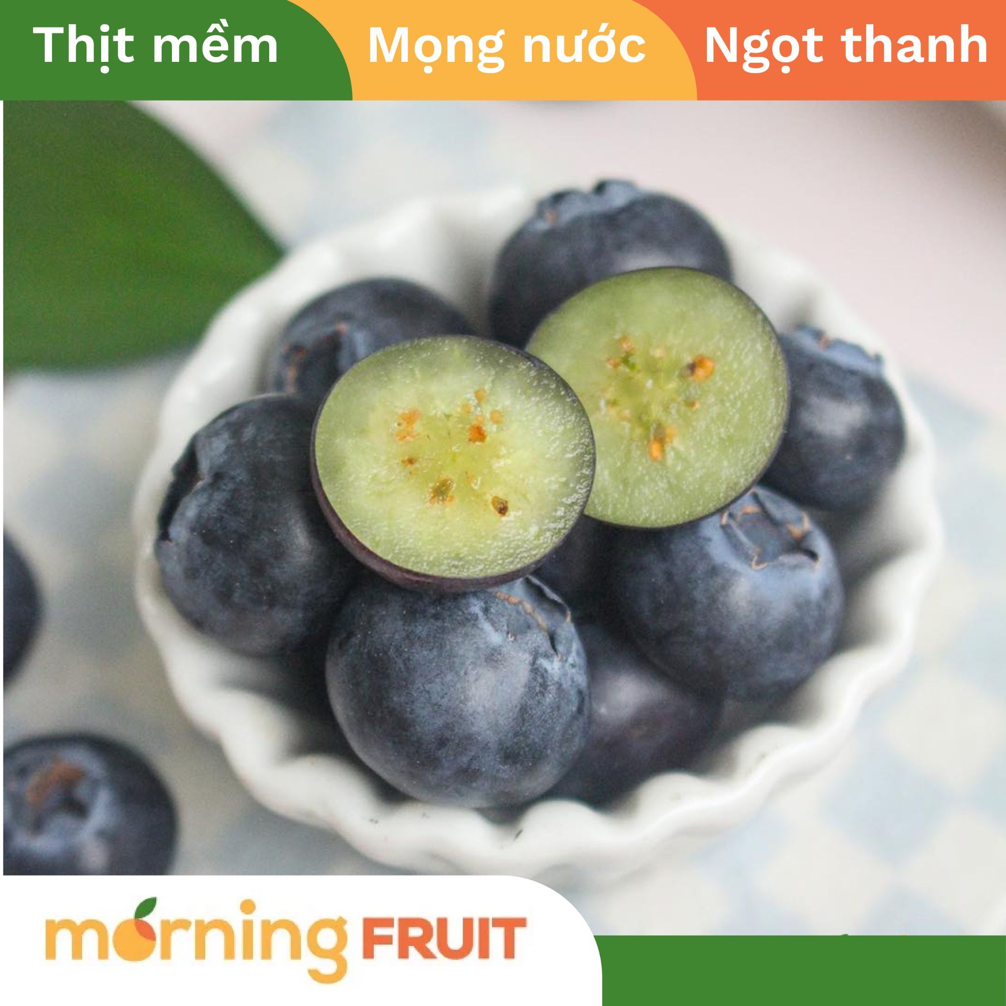 Việt Quất Blue Royal New Zealand size Jumbo (Hộp 125gr) 