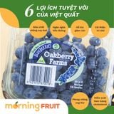  Việt quất New Zealand (Hộp 125gr) 