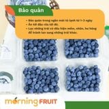  Việt quất New Zealand (Hộp 125gr) 