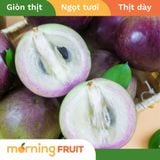  Vú sữa tím Lò Rèn 