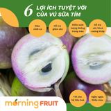  Vú sữa tím Lò Rèn 