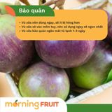  Vú sữa tím Lò Rèn 