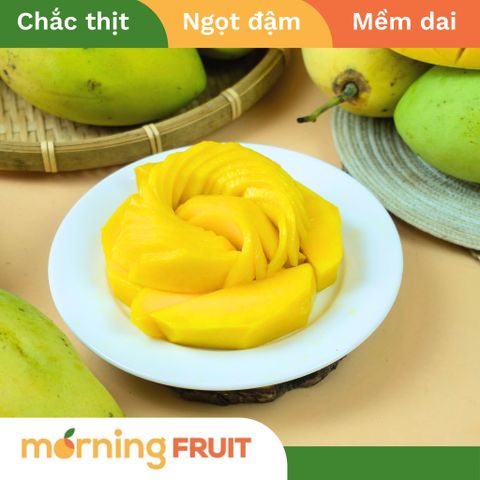  Xoài cát chu da xanh 