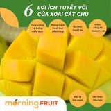 Xoài cát chu da xanh 