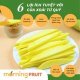  Xoài tứ quý da xanh 