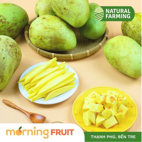  Xoài tứ quý da xanh 