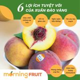  Xuân đào ruột vàng Úc 