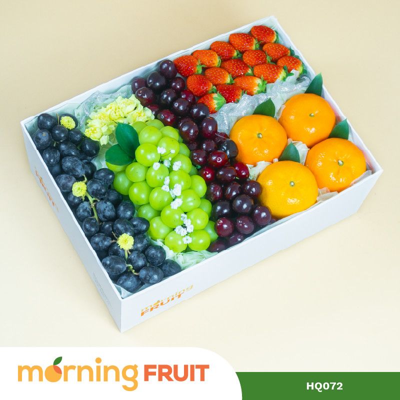  Hộp quà trái cây HQ072 