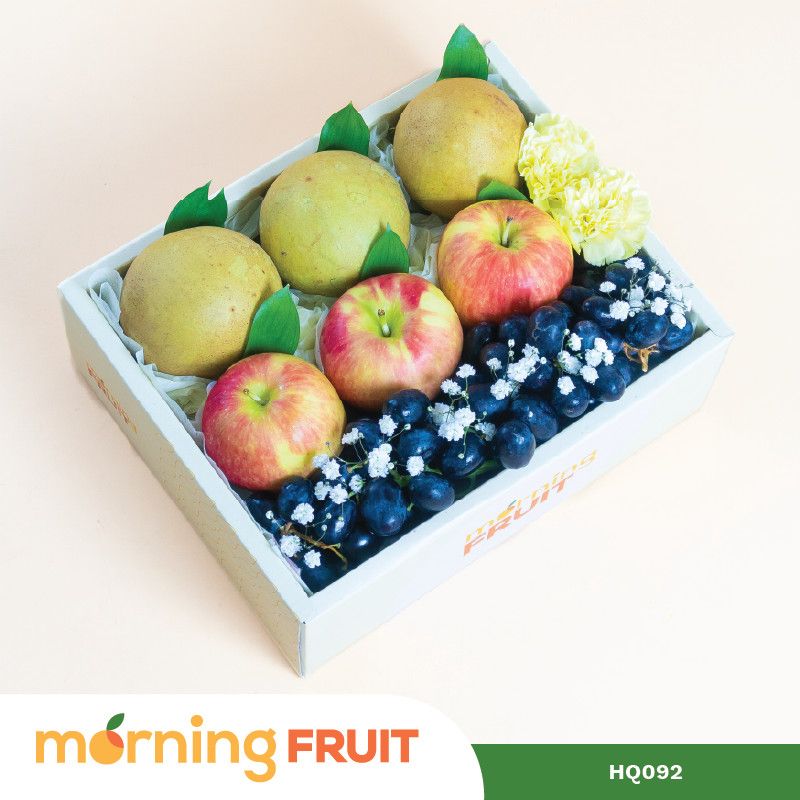  Hộp quà trái cây HQ092 