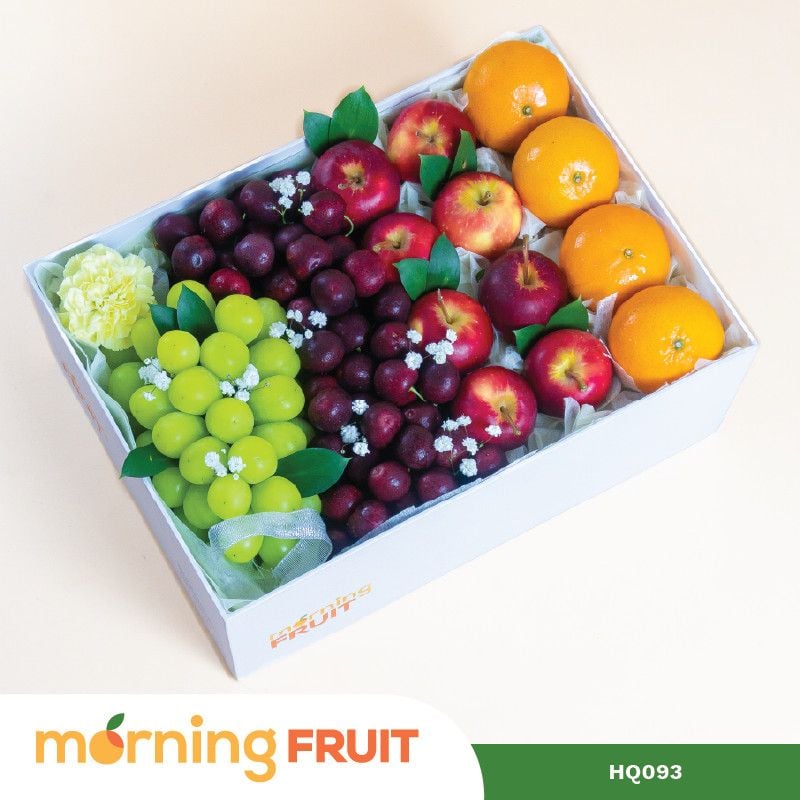  Hộp quà trái cây HQ093 