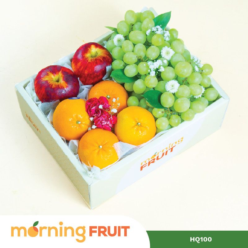  Hộp quà trái cây HQ100 