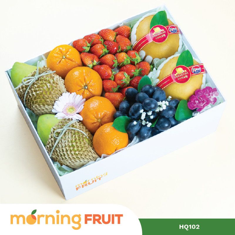  Hộp quà trái cây HQ102 