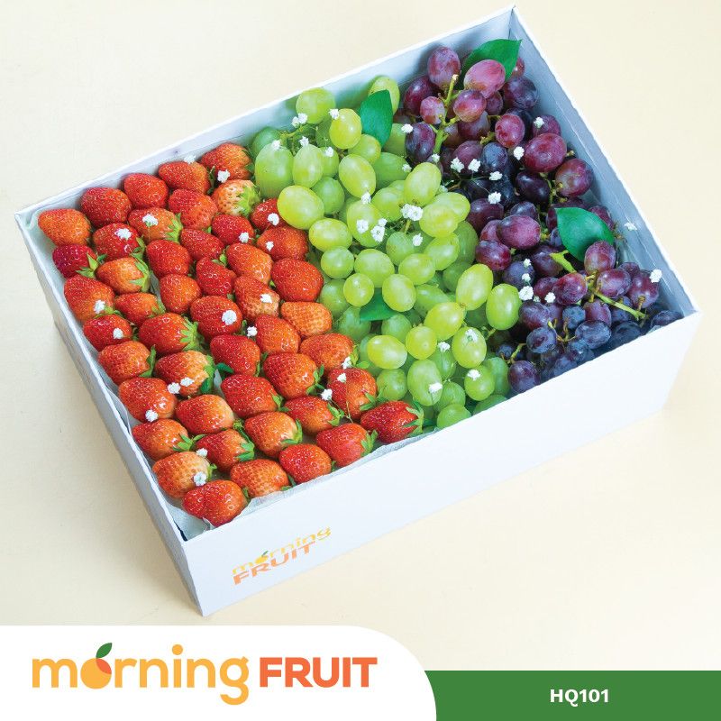  Hộp quà trái cây HQ101 