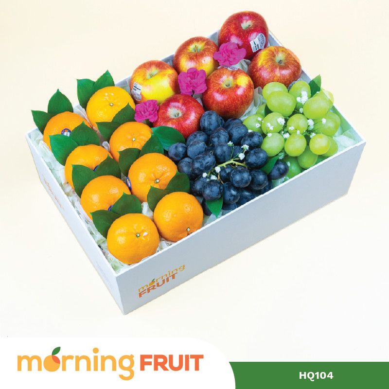  Hộp quà trái cây HQ104 