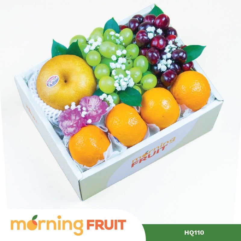  Hộp quà trái cây HQ110 