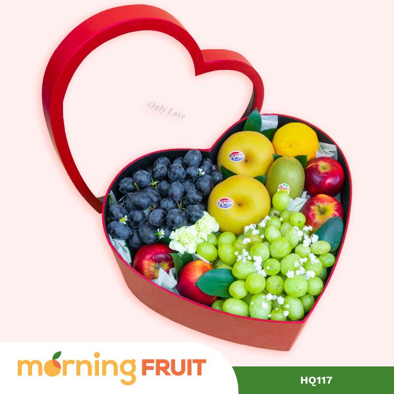 Hộp quà trái cây HQ117 