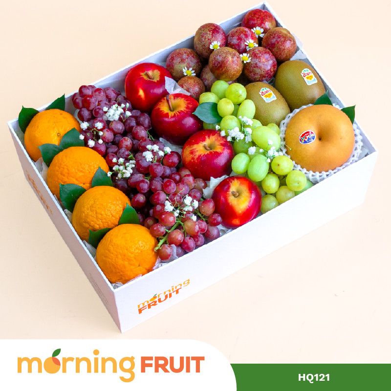  Hộp quà trái cây HQ121 