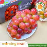  Nho mẫu đơn đỏ Sunny Dolce Hàn Quốc 